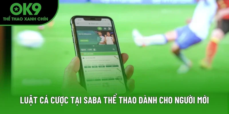 Luật cá cược tại SABA Thể Thao dành cho người mới